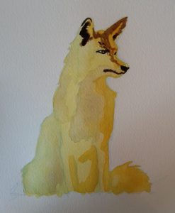 Renard première couche aquarelle