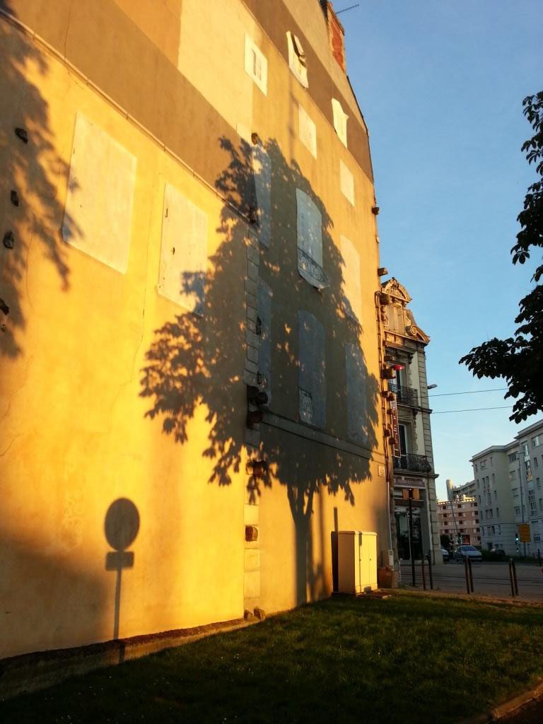 Ombre arbre sur façade, lumière du soir