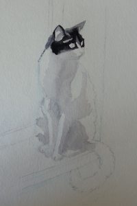 Aquarelle chatte Oreo en cours